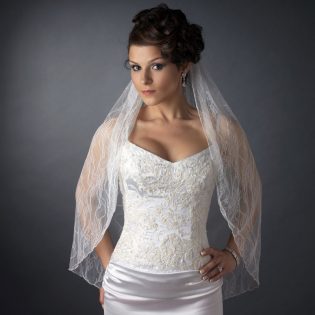 Embroidered Lace Veil